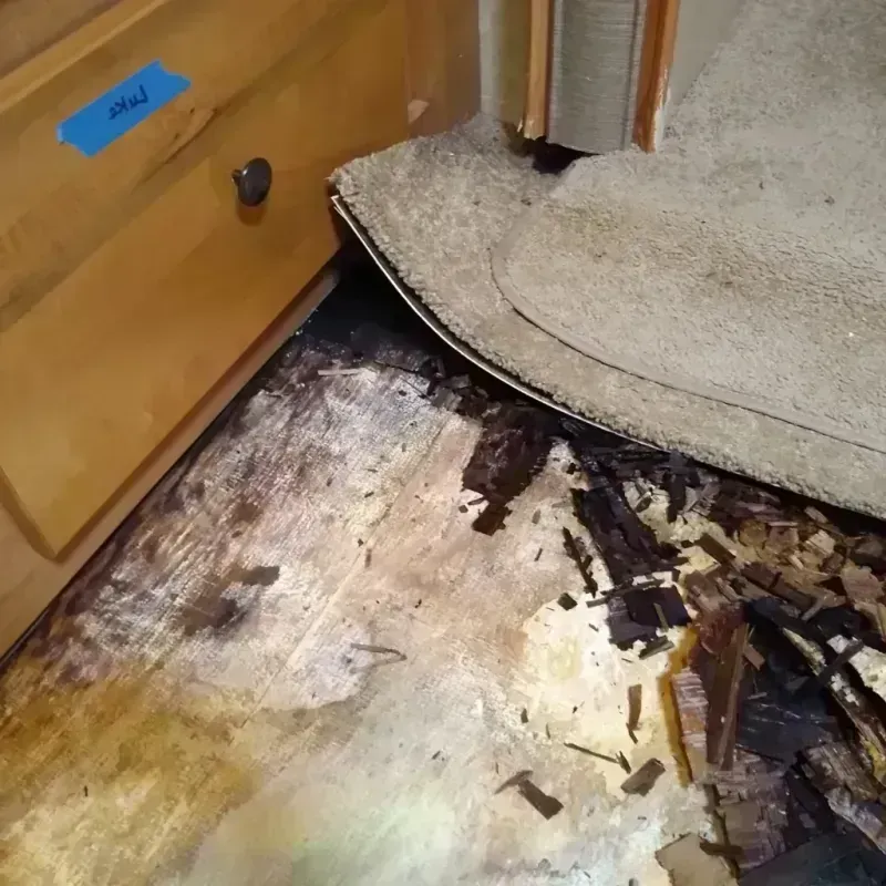 Best Wood Floor Water Damage Service in Conway, NH